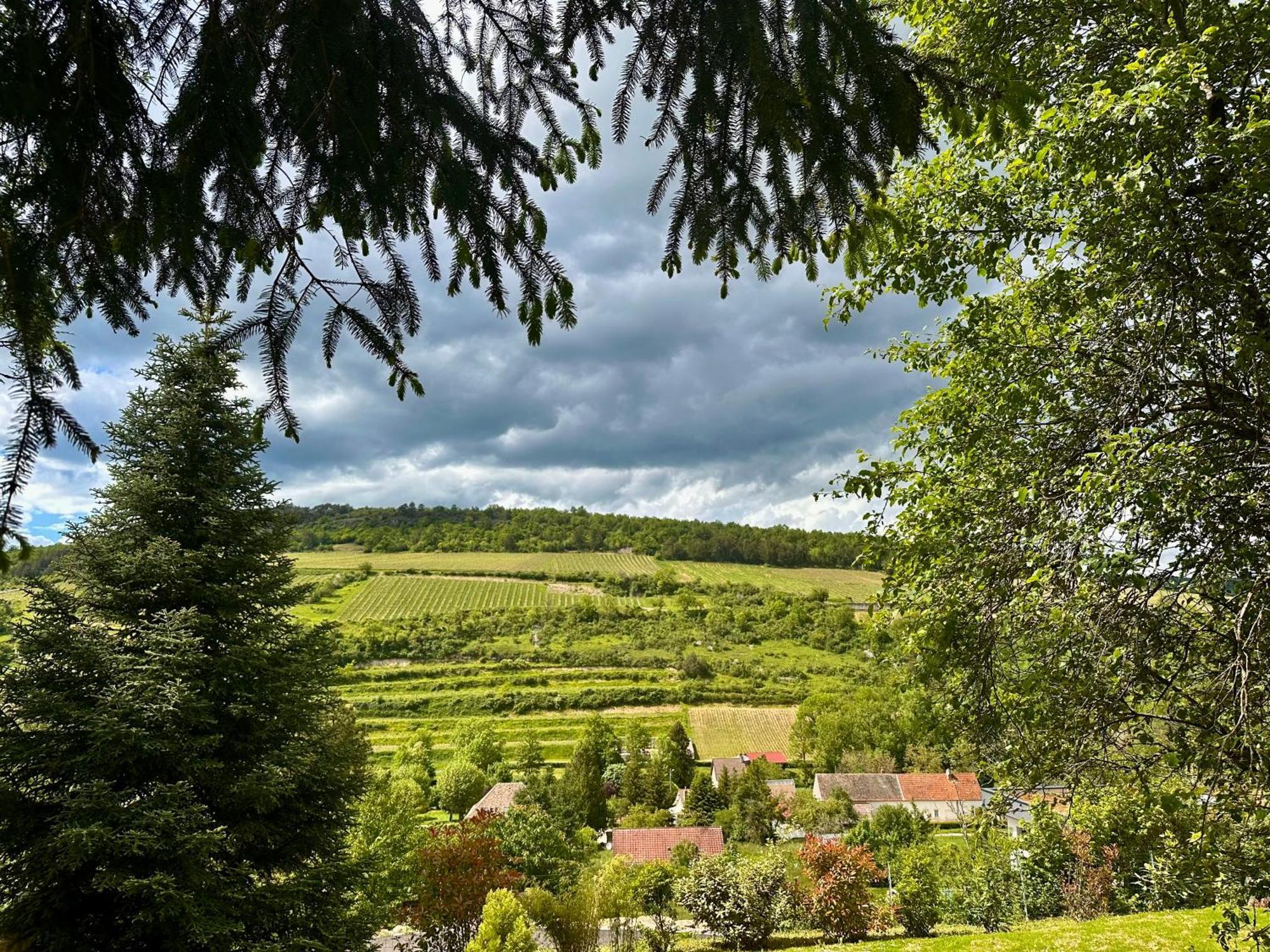 Villa La Cabotte Du Renard à Auxey-Duresses Extérieur photo